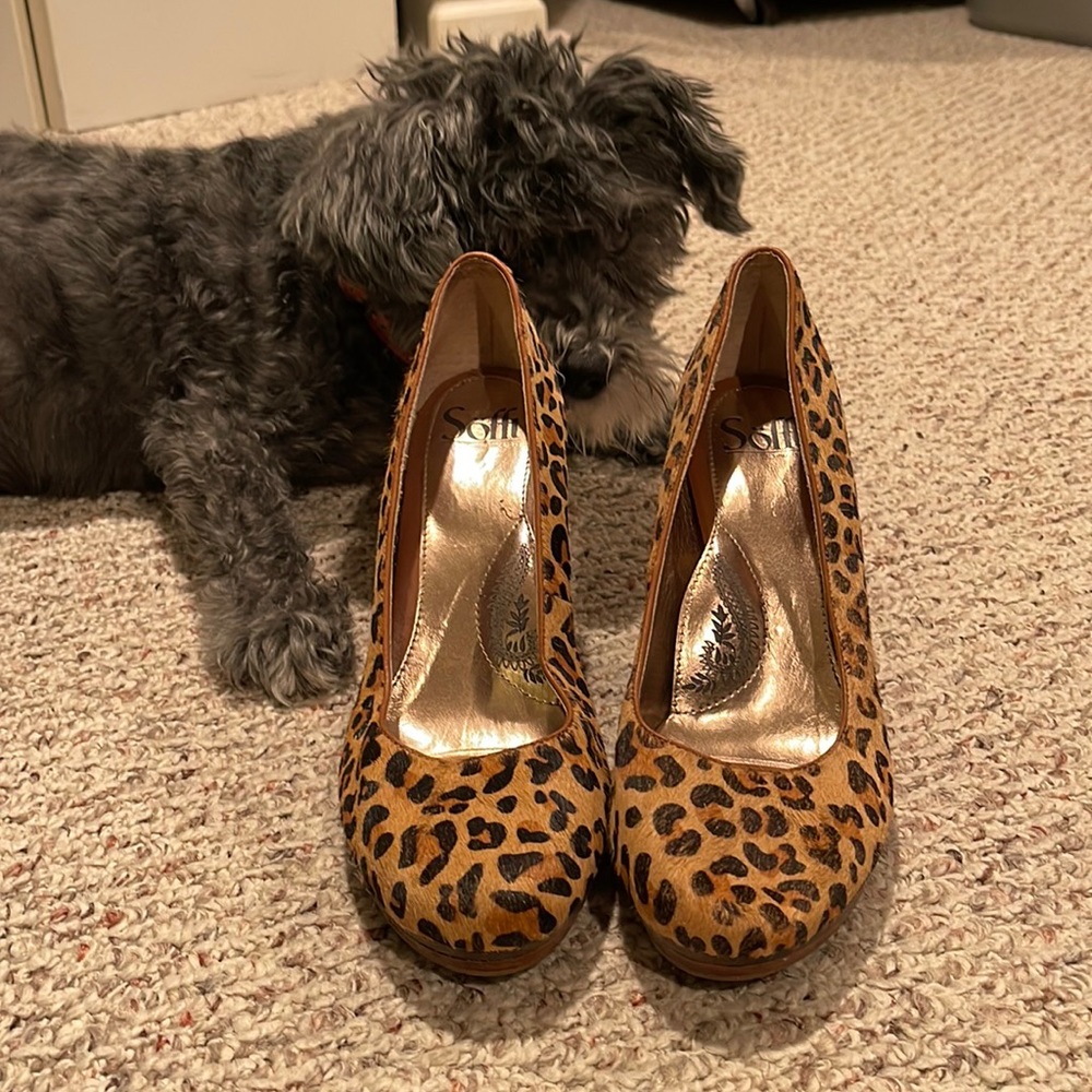 Cheetah Heels✨